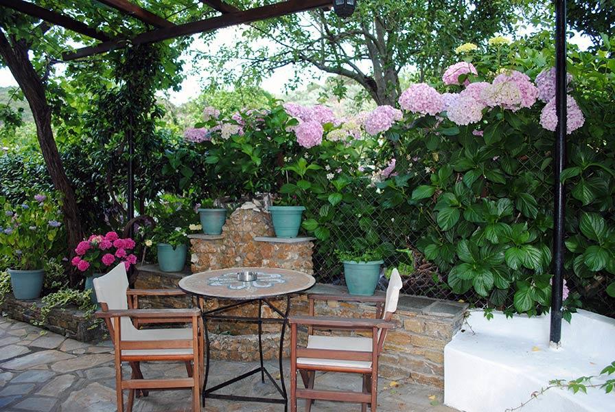 Villa Katerina Πλατανιάς Εξωτερικό φωτογραφία